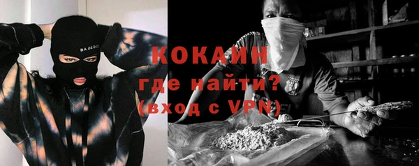 молекула духа Краснослободск