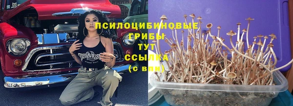 первитин Краснотурьинск